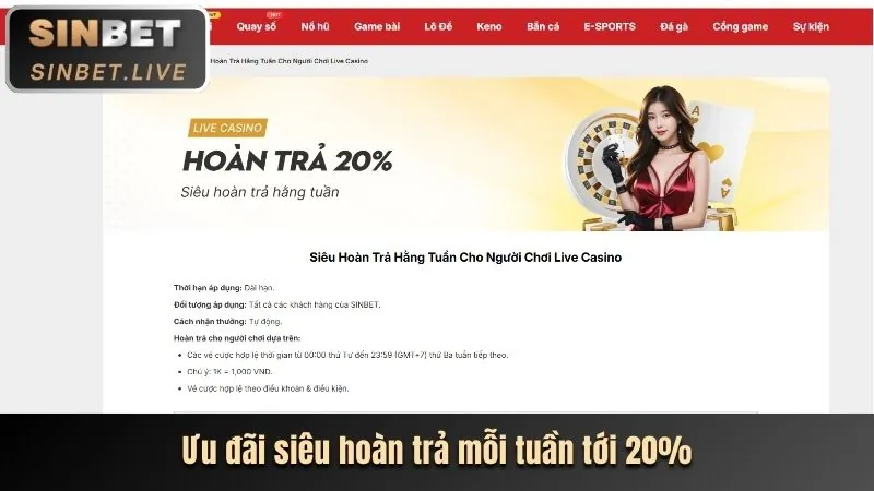 Hoàn trả tiền cược, biểu tượng của chương trình hoàn trả thể thao ibet