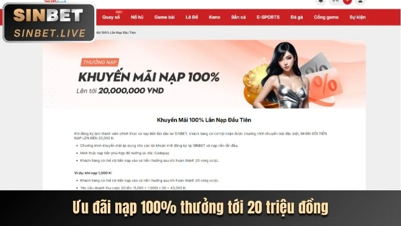 Tiền thưởng chào mừng cho thành viên mới, thể hiện ưu đãi ibet